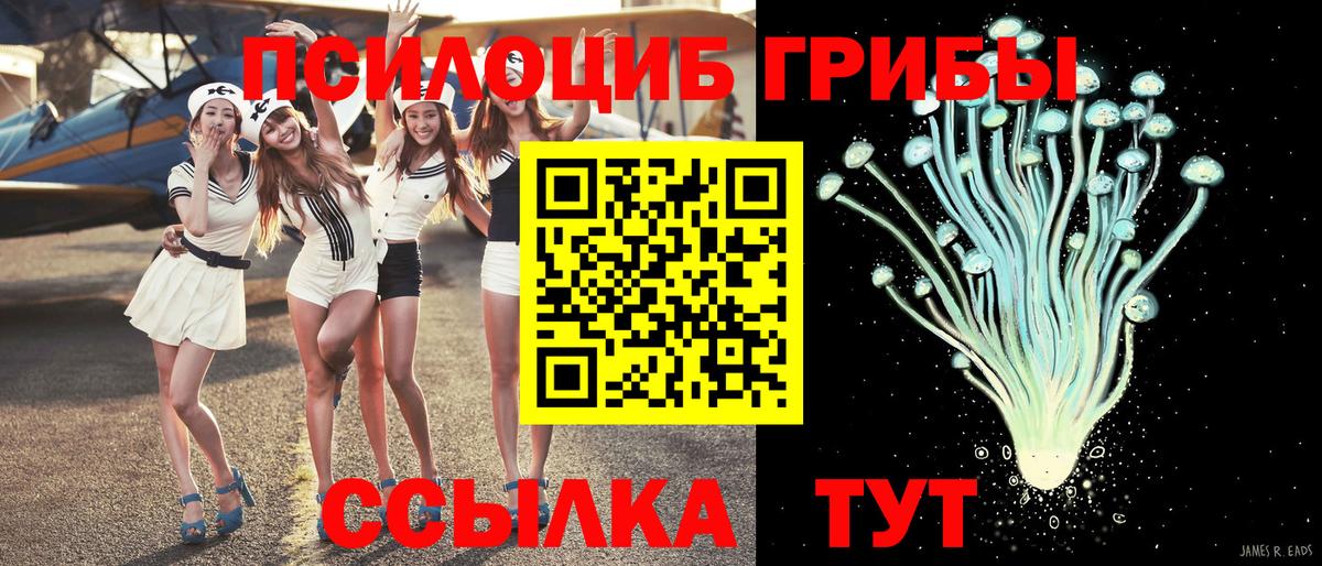 Галлюциногенные грибы Magic Shrooms Березники