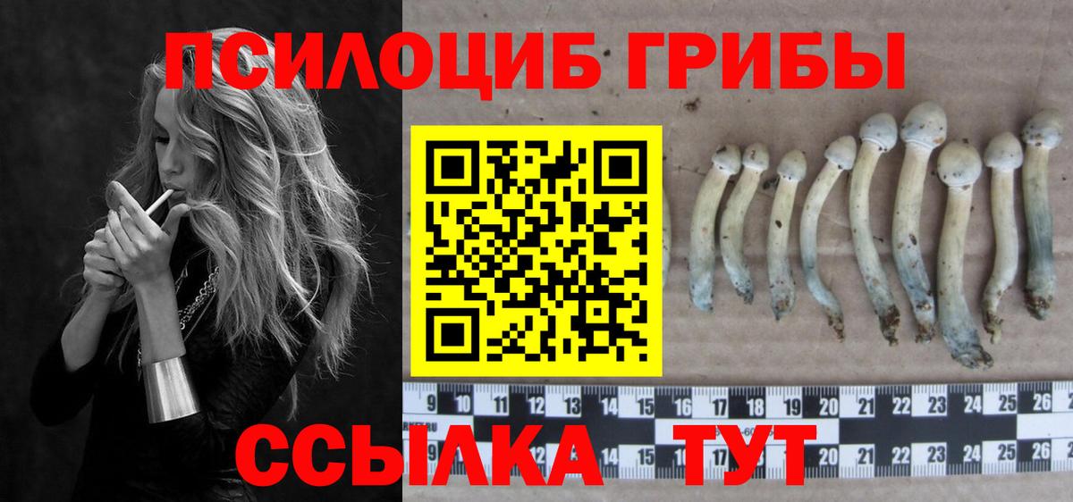 ГАШ  ГАШ  APVP СОЛЬ   Вход с VPN  Меф МЯУ МЯУ кристаллы  Березники  Конопля 