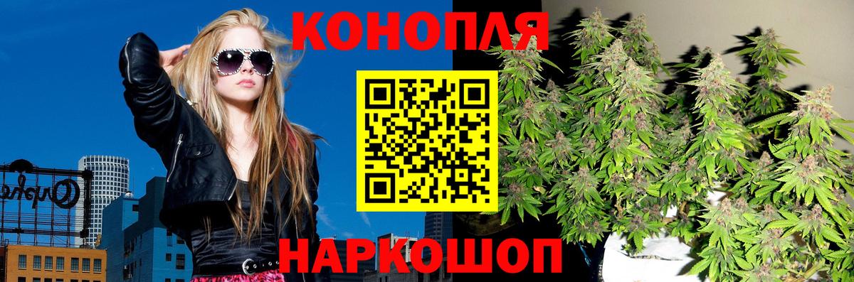 Шишки марихуана конопля Березники